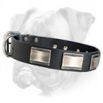 Stylish Boxer Collar Adorned with Massive Nickel Plates