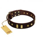 "Blinking Illusion" FDT Artisan Brown Leather Boxer Collar with Old Bronze-like Studs and Plates
