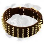 Luxury Leather Boxer Collar with Brass Spikes for Walking