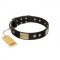 "Antique Gloss" FDT Artisan Black Leather Boxer Collar with Bronze-like Plates and Small Studs