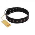 "Flower Rhapsody" FDT Artisan Premium Quaulity Black Leather Boxer Collar