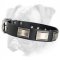 Stylish Boxer Collar Adorned with Massive Nickel Plates