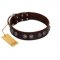 "King Arthur" FDT Artisan Brown Leather Boxer Collar with Spiky Plates