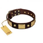 "Heavy Metal" FDT Artisan Brown Leather Boxer Collar with Old Bronze-like Skulls and Plates