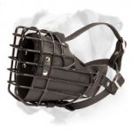 New Boxer Wire Muzzle with Black Rubber Cover