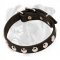 Exclusive Leather Boxer Collar with Nickel Studs