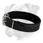 Padded Leather Dog Collar with Thick Felt - C24