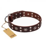 "Pirate Treasure" FDT Artisan Exciting Brown Leather Boxer Collar with Studs