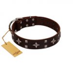 "Trendy Candy" FDT Artisan Brown Leather Boxer Collar Adorned with Stars and Tiny Squares