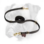 High Quality Multitask Nylon Boxer Leash