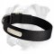 Luxurious 2 Ply Nylon Collar for Your Boxer