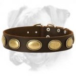 Deluxe Leather Collar Adorned with Vintage Oval Plates