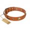"Visual Magic" FDT Artisan Tan Leather Boxer Collar for Daily Activities