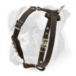 Boxer Puppy Genuine Leather Dog Harness with Cones for Puppies