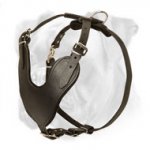 Amazing Leather Dog Harness for Easy, Safe and Comfortable Agitation/Attack Boxer Training