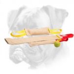 Boxer Puppy Training Set for Efficient Training