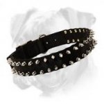 Water Proof Nylon Boxer Collar with Gorgeous Spikes