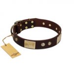 "Middle Age" FDT Artisan Brown Leather Boxer Collar with Old Bronze-Plated Engraved Flowers and Large Plates