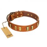 "Olive Slice" FDT Artisan Tan Leather Boxer Collar with Engraved and Smooth Plates