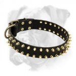 Luxury brass spiked leather Boxer collar