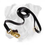 Multifunctional Nylon Boxer Dog Leash