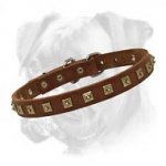 Boxer Leather Collar with Square Studs