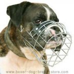 'The Silencer' Free Panting and Breathing Wire Basket Dog Muzlle for Boxer