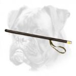 Boxer Stick for Agitation Training with Loop