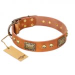 "Saucy Nature" FDT Artisan Tan Leather Boxer Collar with Old Bronze Look Plates and Skulls