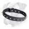 Elegant Leather Boxer Collar with Nickel Spikes