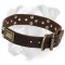 Leather Boxer Collar with Brass Plates and Nickel Pyramids