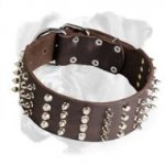 Super Wide Leather Boxer Collar with Nickel Decorations