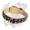 Luxury Leather Collar with Brass Spikes