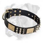 Unique Leather Boxer Collar with Charming Plates, Spikes and Pyramids