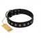 "Silver Flower" Exclusive FDT Artisan Black Leather Boxer Collar with Silver-Like Studs
