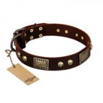 "Magic Amulet" Brown Leather Boxer Collar with Skulls and Plates