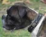 Gorgeous Nappa Padded Leather Boxer Collar with Unique Design