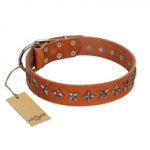 "Star Trek" FDT Artisan Tan Leather Boxer Collar Decorated with Stars
