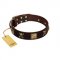 "Crazy Pirate" FDT Artisan Brown Leather Boxer Collar with Old Bronze-Plated Skulls and Plates