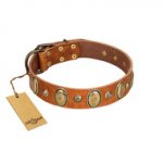 "Venus Breath" FDT Artisan Tan Leather Boxer Collar with Vintage Looking Oval and Round Studs