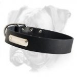 Simply Designed Leather Collar with Name Tag for Boxer Breed