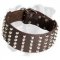 Boxer Leather Collar with 5 Rows of Nickel Pyramids