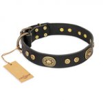 "Golden Radiance" FDT Artisan Black Leather Boxer Collar with Old Bronze Look Ovals and Circles