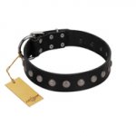 "Silver Flower" Exclusive FDT Artisan Black Leather Boxer Collar with Silver-Like Studs
