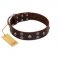 "Skull Valley" Handcrafted FDT Artisan Brown Leather Boxer Collar with Skulls
