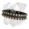 Leather Boxer Collar with "Caterpillar" 2 Rows Brass Studs