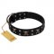 "Black Jack" Stylish Handmade FDT Artisan Black Leather Boxer Collar