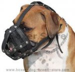 Strong Leather Dog Muzzle with Excellent Air Flow for Boxer