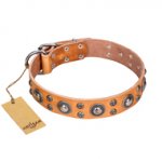 'Extra Sparkle' FDT Artisan Handcrafted Boxer Tan Leather Dog Collar