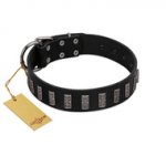 "Black Prince" Handmade FDT Artisan Black Leather Boxer Collar with Silver-Like Adornments